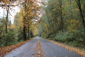 Photo by Elizabeth Cully