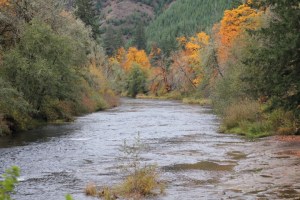 Photo by Elizabeth Cully