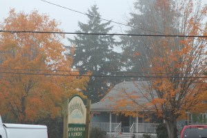 A very foggy morning at the farm!