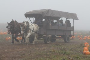 This is part of what makes the price of the experience worth it!