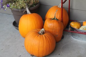 Here they sit on the porch, waiting for their makeovers