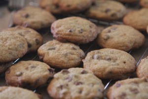 Chocolate Chip Cookies!
