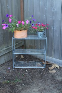 I found this shelf at the Goodwill for a great price. At some point, I will paint it, but for now, it looks good!