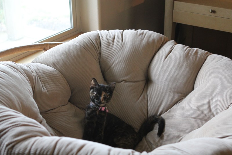 "Ooooooohhhh, you wanted to sit here?"